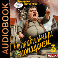 Неправильный попаданец. Книга 3