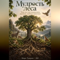 Мудрость леса: Чему нас учит взаимосвязь деревьев, грибов и животных