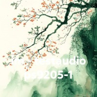 im – testaudio ps9205-1