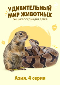 Удивительный мир животных. Азия. 4 серия