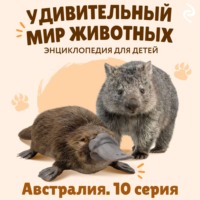 Удивительный мир животных. Австралия. Серия 10