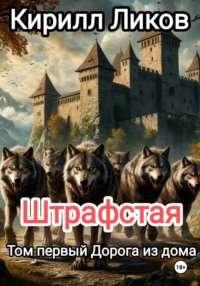 Штрафстая Том первый: Дорога из дома