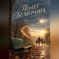 Полет бумеранга