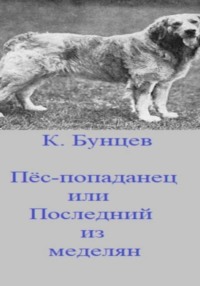 Пёс-попаданец, или Последний из меделянок