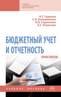 Бюджетный учет и отчетность. Практикум
