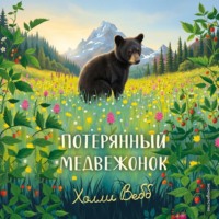 Потерянный медвежонок