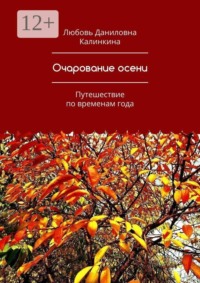 Очарование осени. Путешествие по временам года