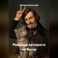 Ревизор которого не было