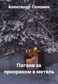 Погоня за призраком в метель