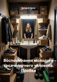 Воспоминания молодого тысячелетнего человека. Пробка