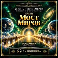 Жизнь после смерти. Путешествие души глазами Рода. Том 3. Мост Миров