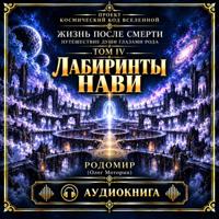 Жизнь после смерти. Путешествие души глазами рода. Том 4. Лабиринты нави