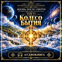 Жизнь после смерти. Путешествие души глазами рода. Том 6. Колесо бытия