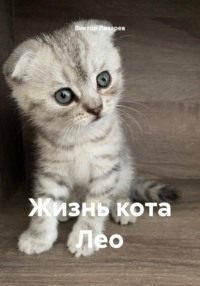 Жизнь кота Лео