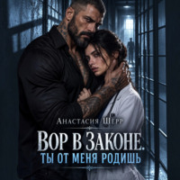 Вор в законе. Ты от меня родишь