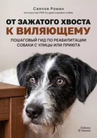 «От зажатого хвоста к виляющему: пошаговый гид по реабилитации собаки с улицы или приюта