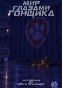 Мир глазами Гонщика.