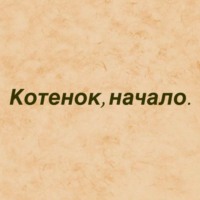 Котёнок, начало.