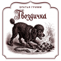 Гвоздичка