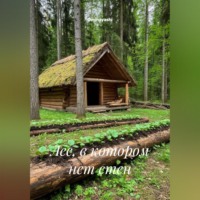 Лес, в котором нет стен