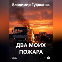 Два моих пожара