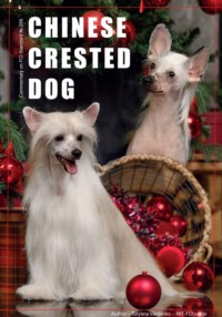 THE EXTERIOR OF THE CHINESE CRESTED DOG AND ITS EVALUATION