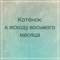 Котёнок, к исходу восьмого месяца