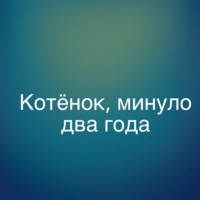 Котёнок, минуло два года.