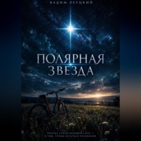 Полярная звезда